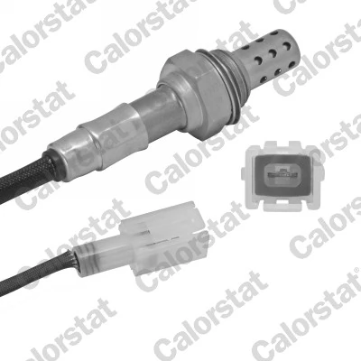 Oxygen Sensor